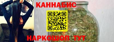 крисы Будённовск
