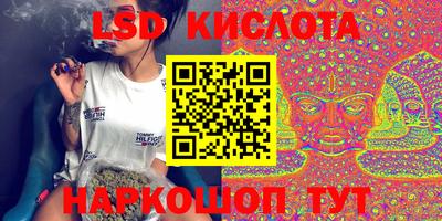крисы Будённовск