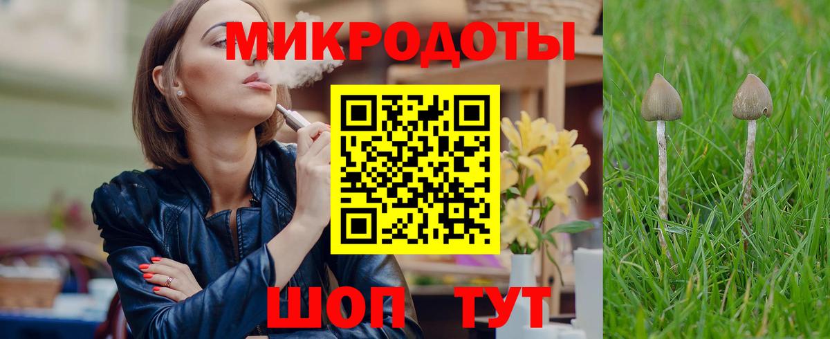 Галлюциногенные грибы Psilocybe Петропавловск-Камчатский