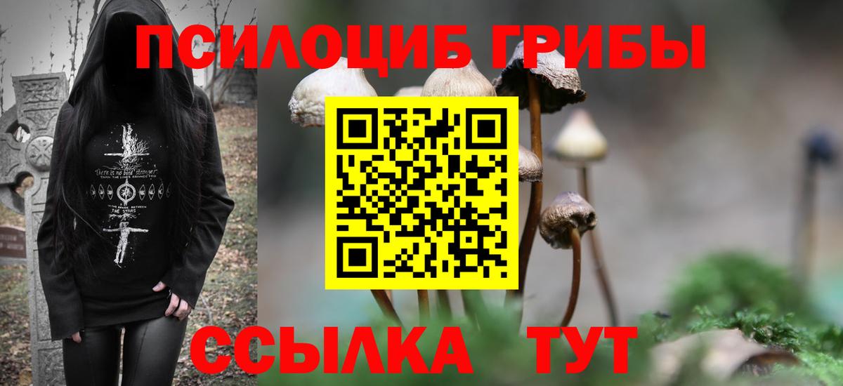 Псилоцибиновые грибы мухоморы  Вход с VPN  Петропавловск-Камчатский  Галлюциногенные грибы MAGIC MUSHROOMS 